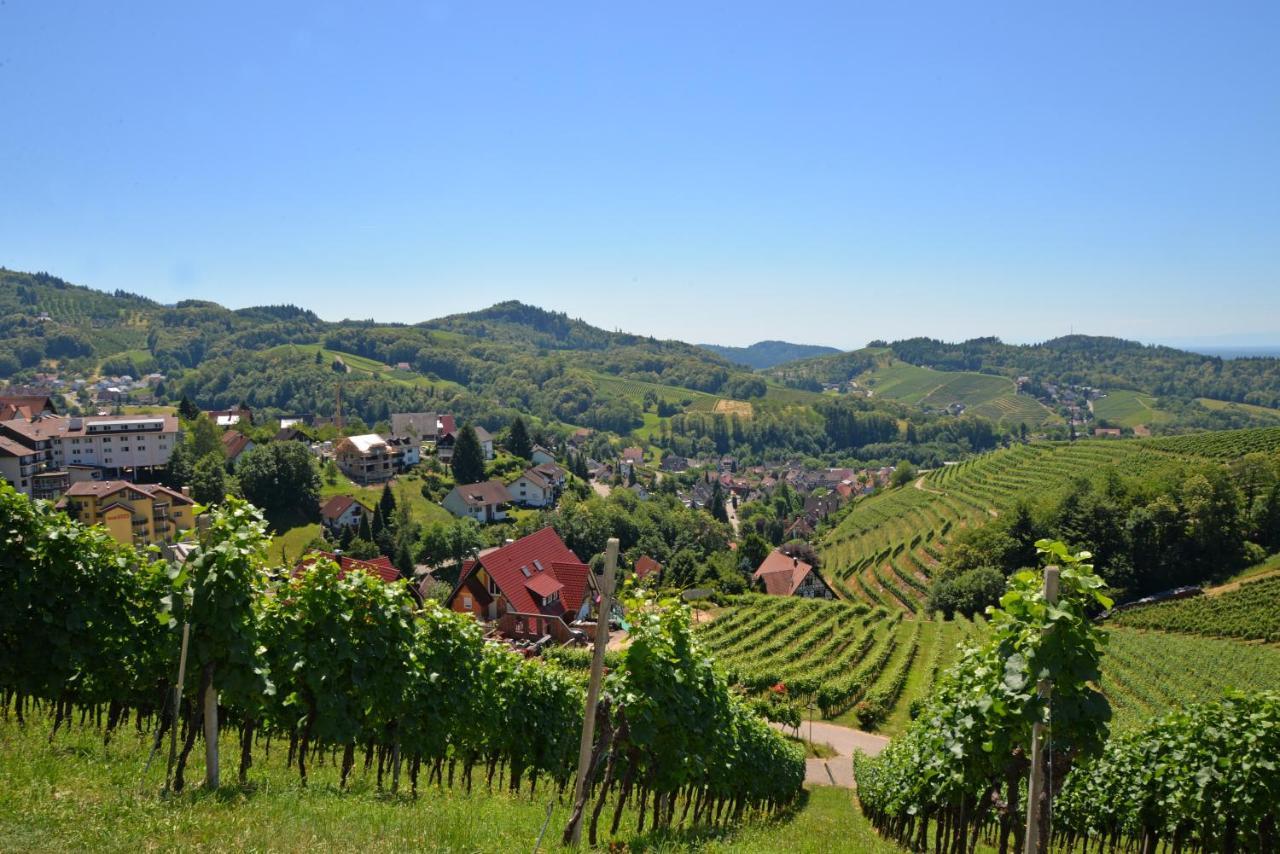 Residence Am Weinberg / Travellers Hotelbetriebs Gmbh Sasbachwalden Εξωτερικό φωτογραφία