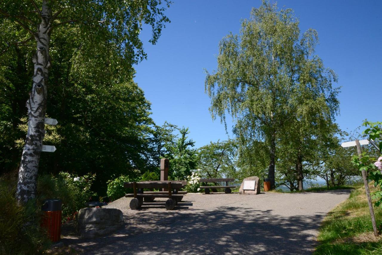 Residence Am Weinberg / Travellers Hotelbetriebs Gmbh Sasbachwalden Εξωτερικό φωτογραφία