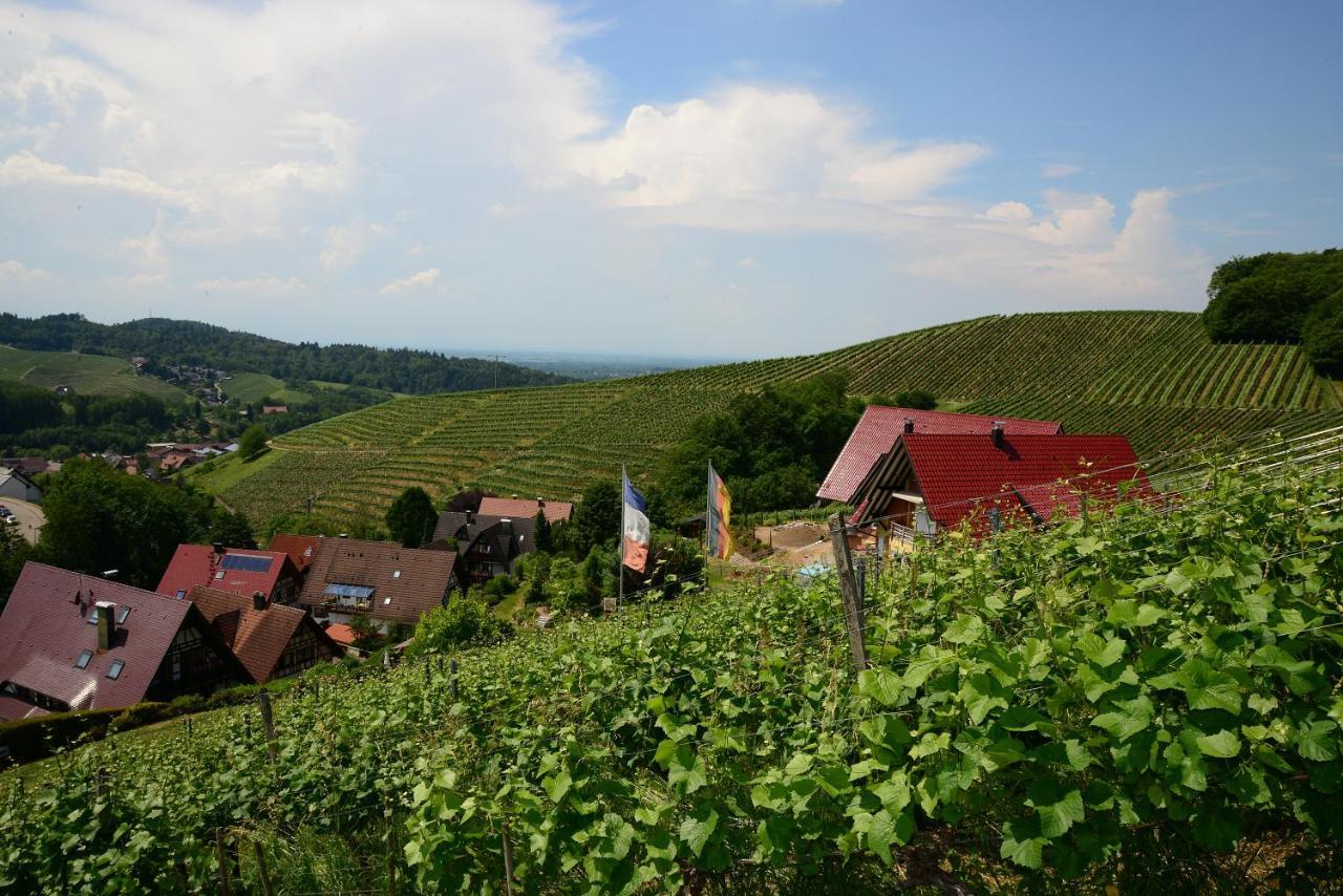 Residence Am Weinberg / Travellers Hotelbetriebs Gmbh Sasbachwalden Εξωτερικό φωτογραφία